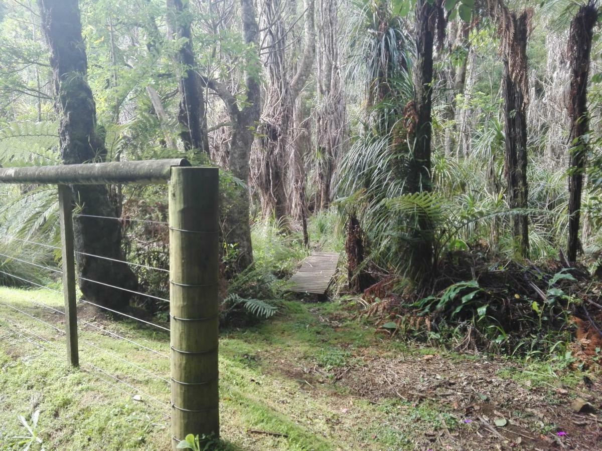 Taranaki Experience New Plymouth Exterior foto