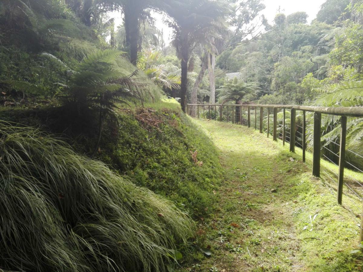 Taranaki Experience New Plymouth Exterior foto