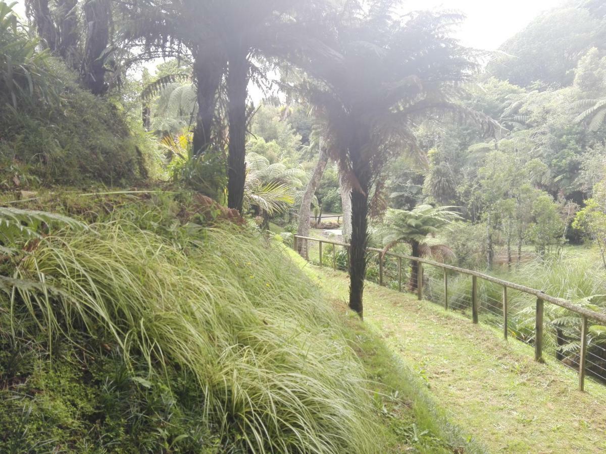 Taranaki Experience New Plymouth Exterior foto